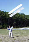 Climbing kite.jpg (78214 bytes)